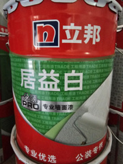 ǽ